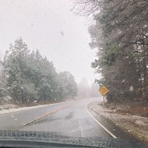 Meet your Posher, Amelia